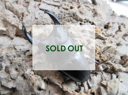 国産大型オオクワガタ・能勢YG血統　♂83㎜♀53㎜ペア(同複93.2㎜B)　　　　